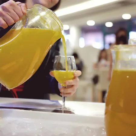 欧特斯罗马纳别墅酒店 酒店 萨洛